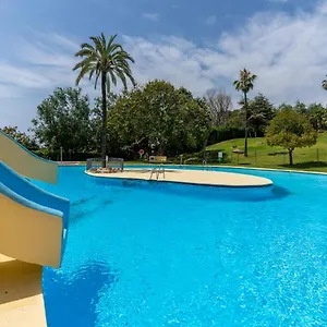 https://monko-guinea.es-andalucia.com